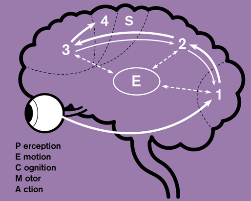 llustrationen tager udgangspunkt i en model oprindelig offentliggjort i Film Studies: an International Review, vol.8, 2006